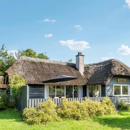 Pet Friendly In With Kitchen